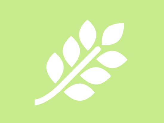 Changes to Companies House